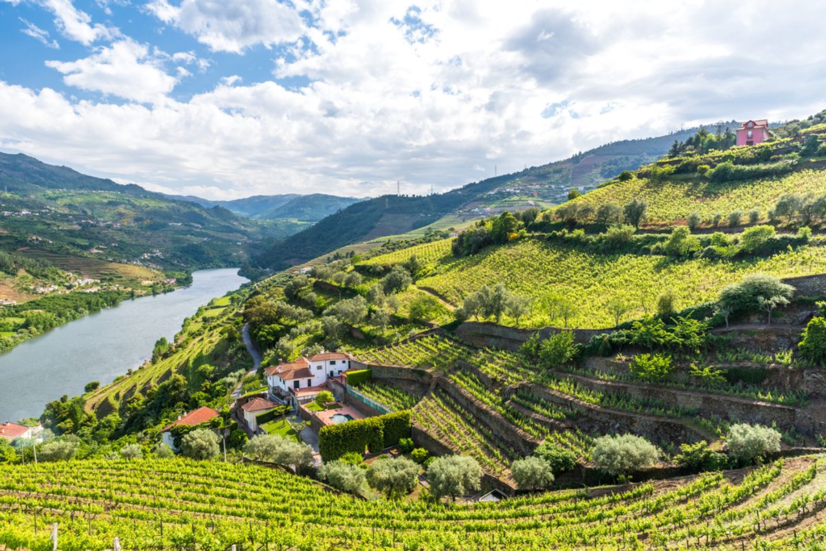 Rot Portugal