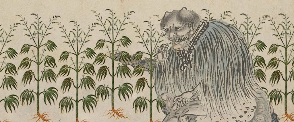 Imagem de capa: Cannabis medicinal é segura?