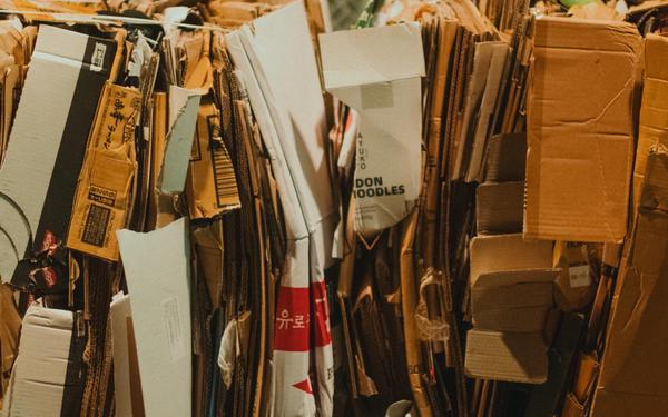 Spend-Based vs Activity-Based Scope 3: Which One Survives an Audit