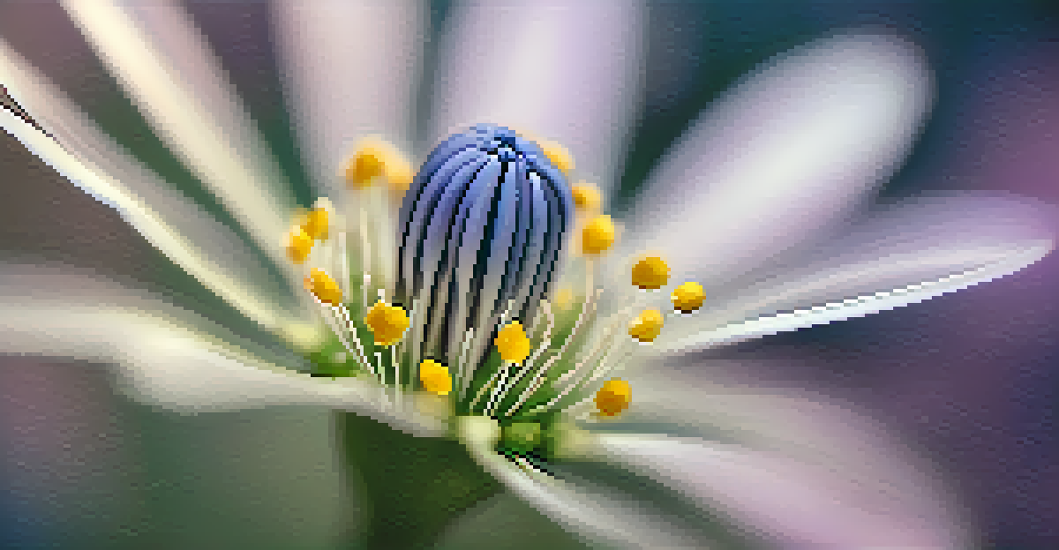A close-up view of a single wildflower, highlighting its details and vibrant colors against a blurred background.