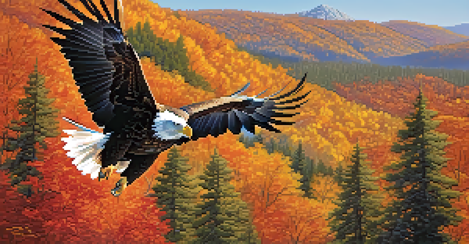 A bald eagle flying over colorful autumn trees in Big Bear, with a clear blue sky above.