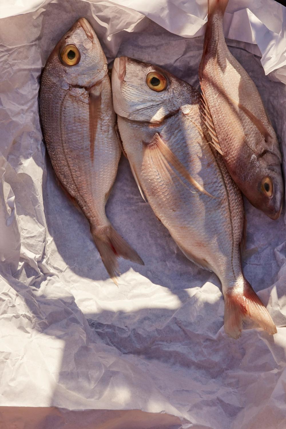 Fish Alfresco Cooking
