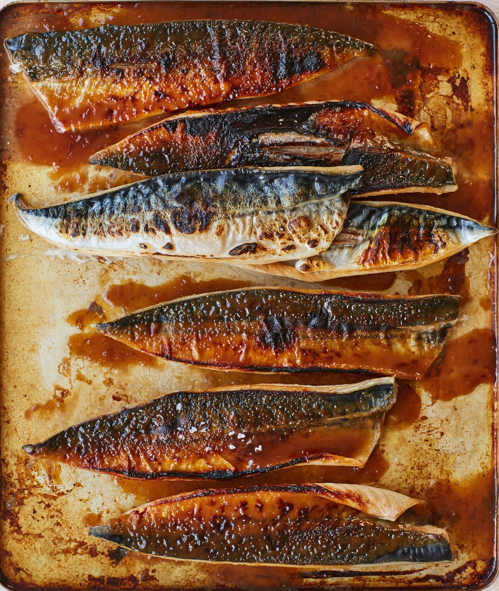 Mackerel Guardianfeast