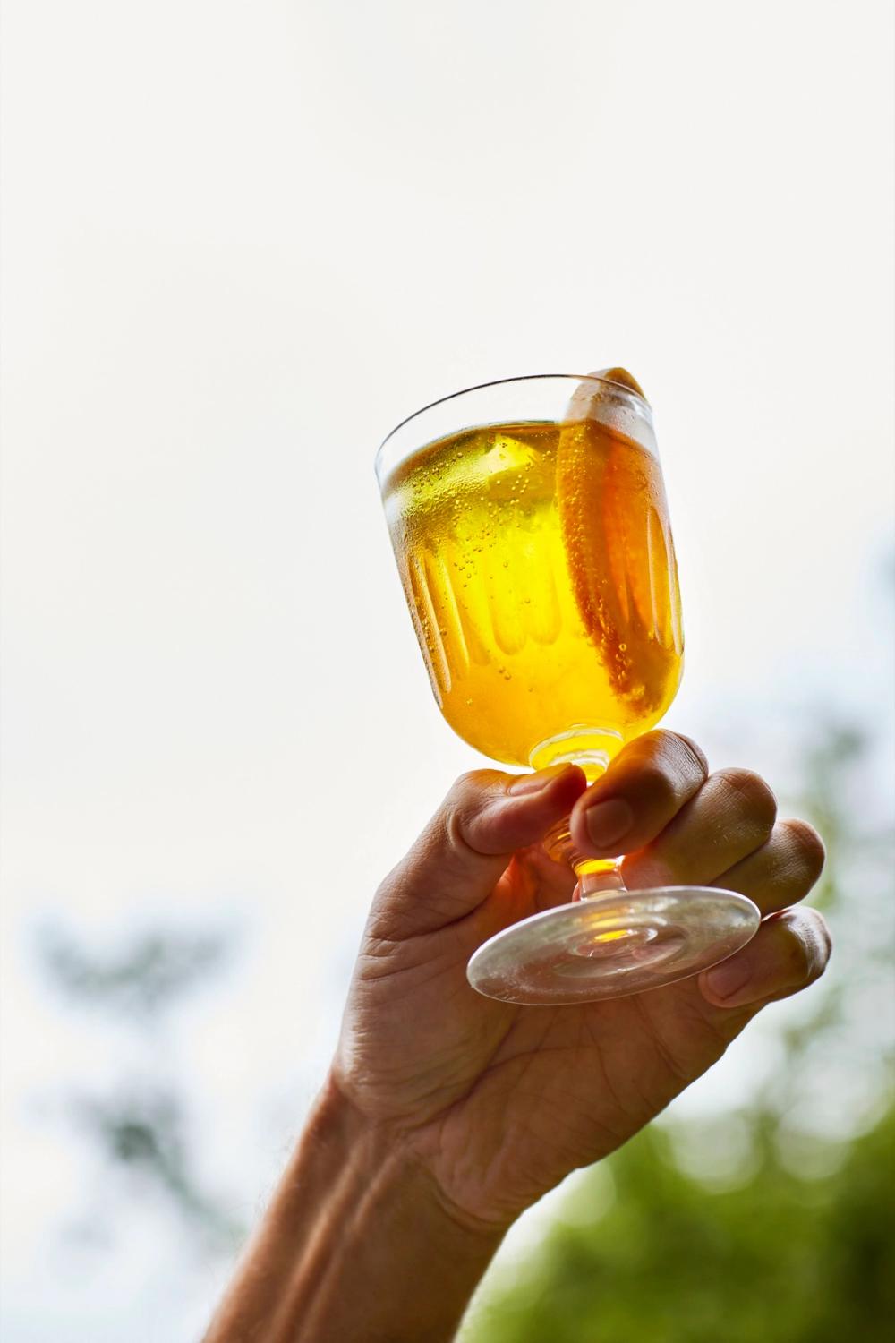Drink Garden Phyto Nectars