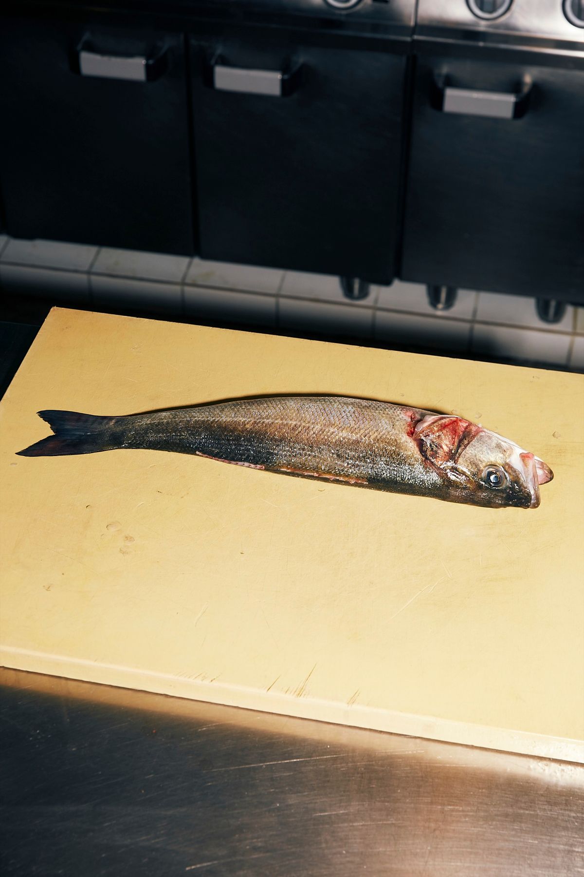 Preparing Fish Harry Cummins La Mercerie