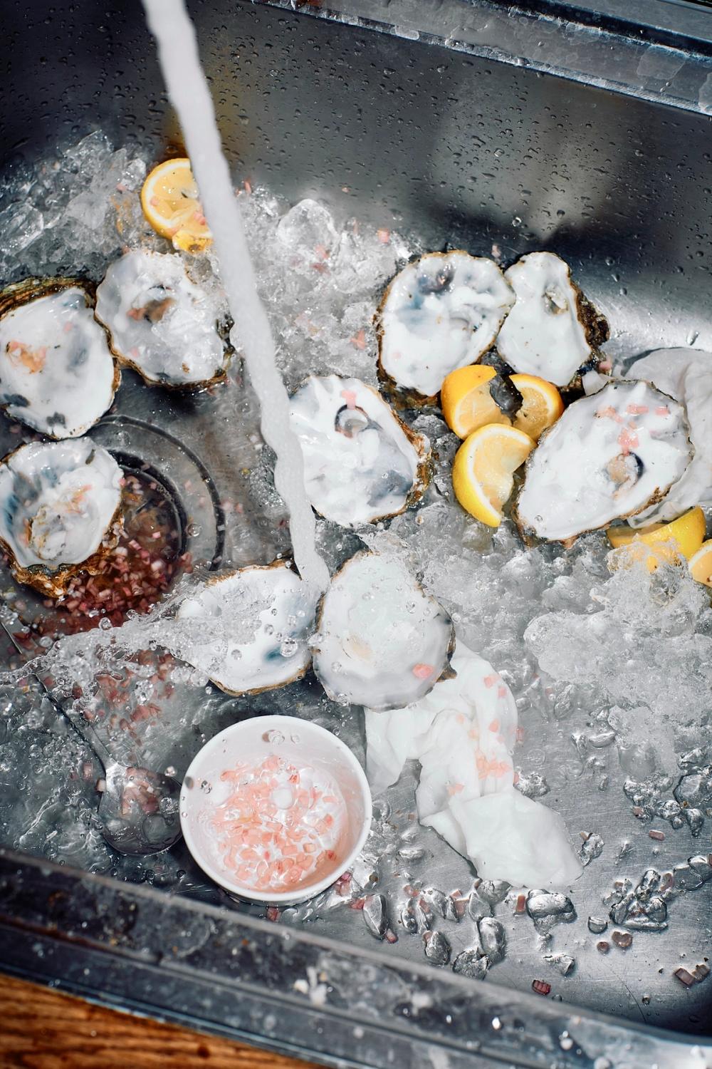 Oysters In Sink After8