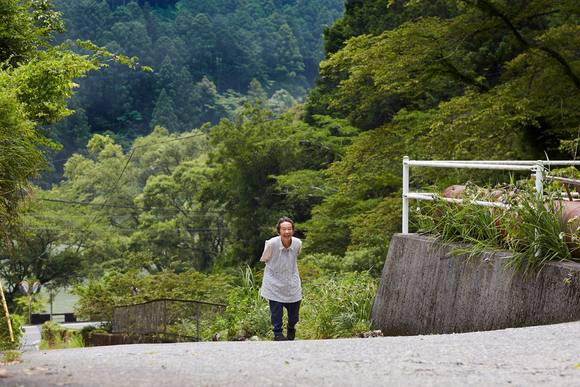 Mountain Tea Stories Japan Book