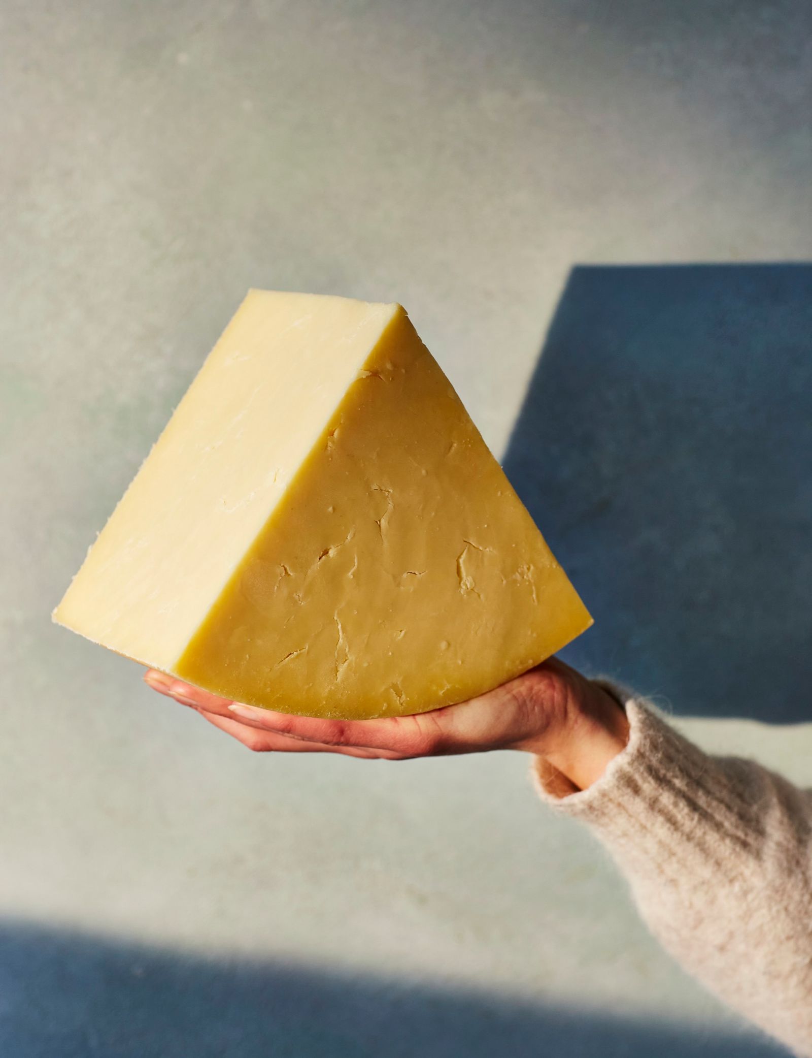 Block Cheese The Cheese Life Cookbook