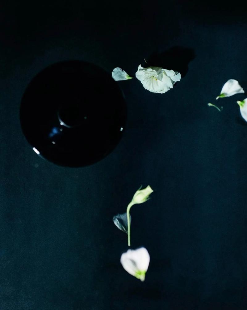 Flowers Analogue Film