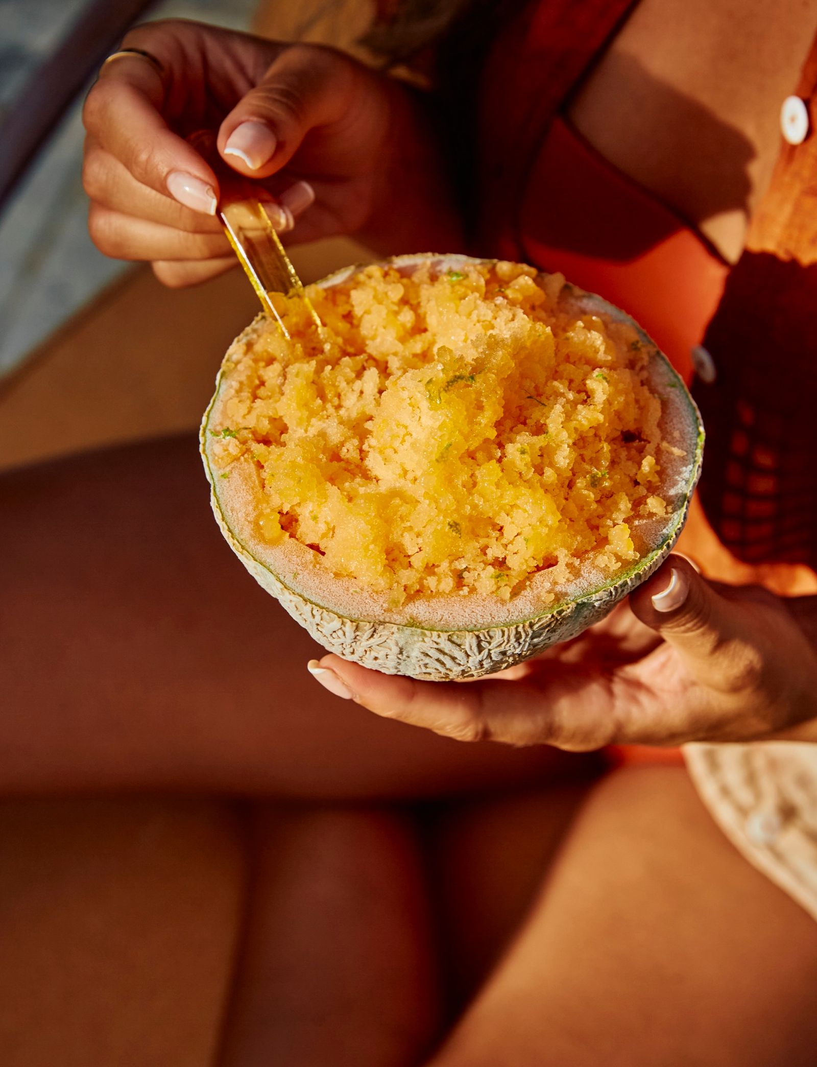 Melon Granita At Home In Provence Book