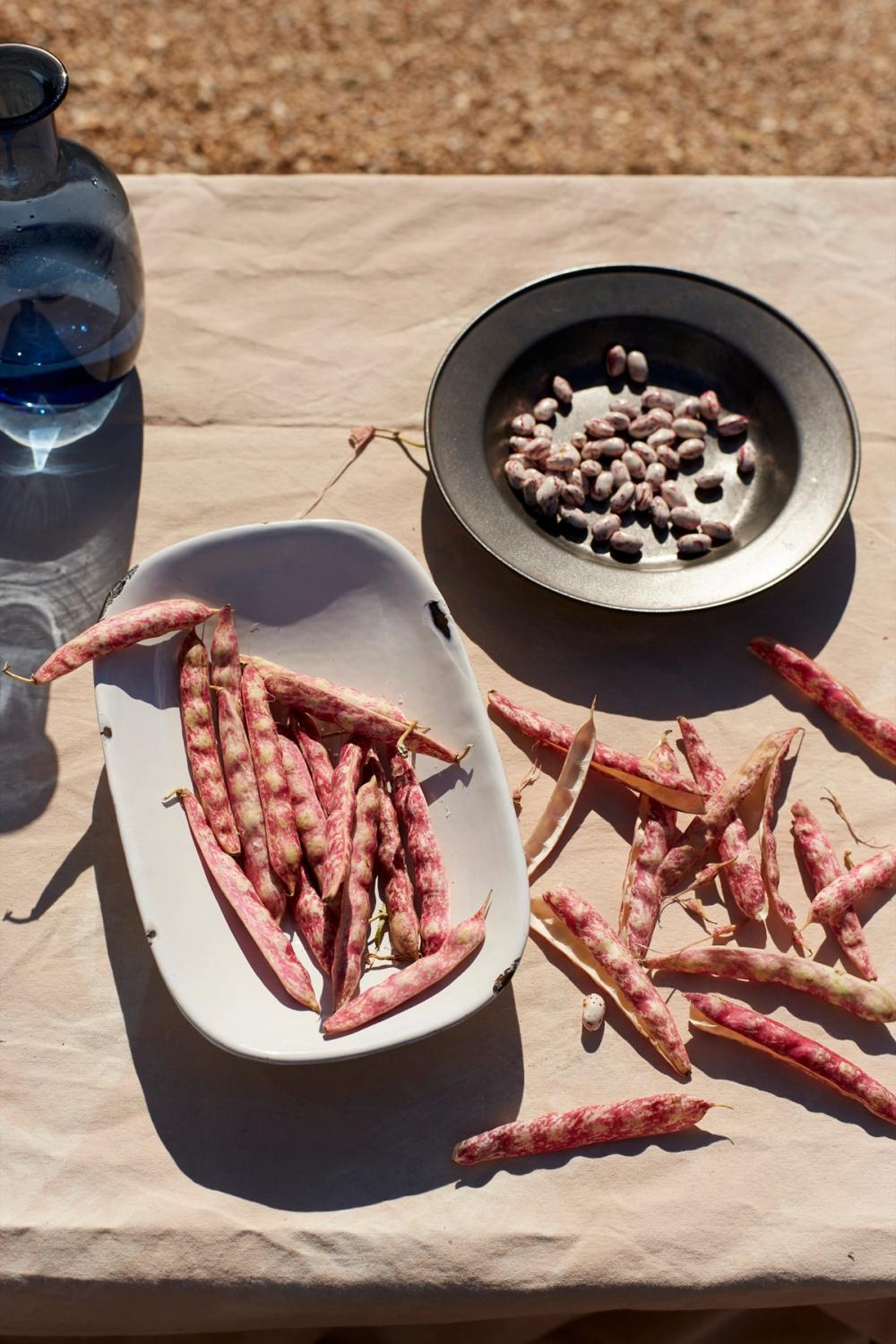 Podding Beans Alfresco Cooking