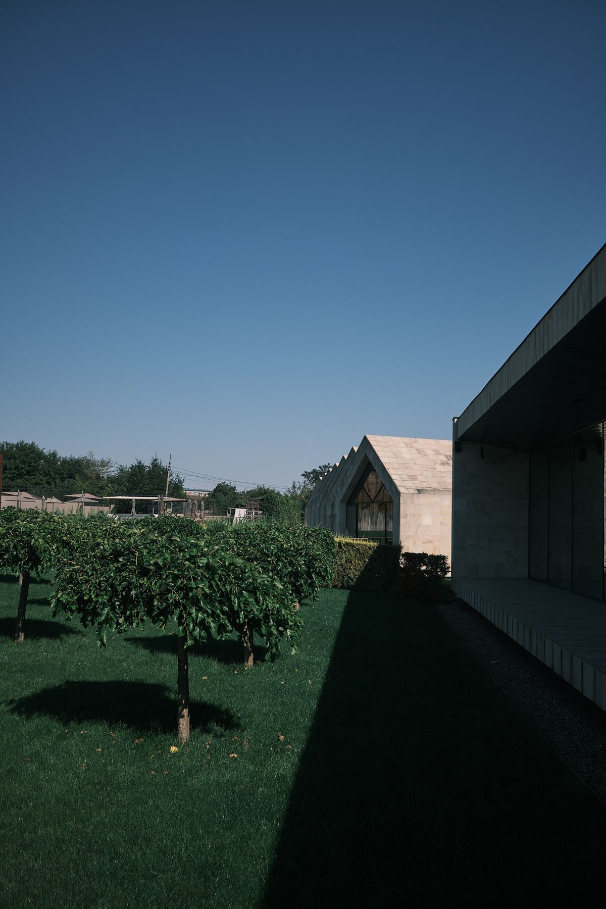 A low modern winery building in deep shadow beside sunlit rows of young fruit trees, with a pale gabled barn behind.