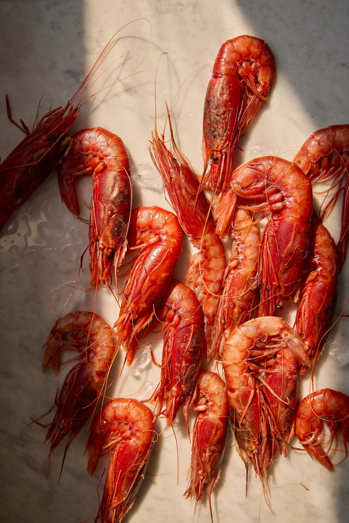 Prawns Lisbon