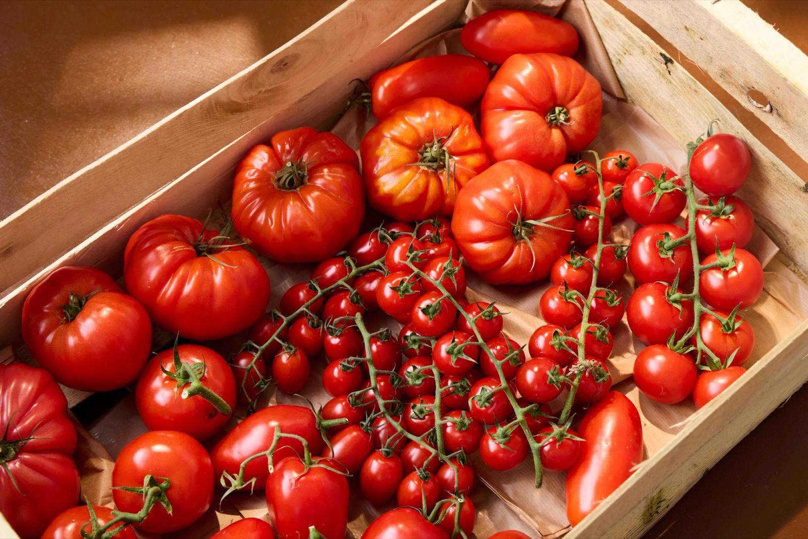 Tomatoes Barilla