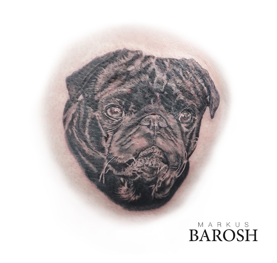 a black and white fineline tattoos of a pug, esslingen, germany