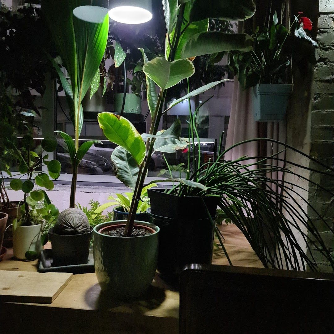 a table with a lamp and some plants