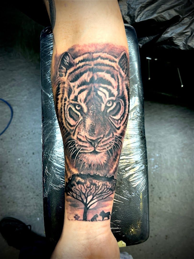 a tiger narben tattoo on the arm, bamberg, germany