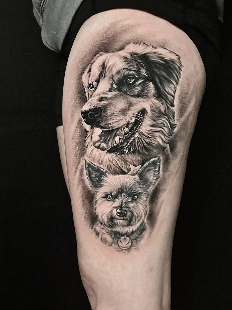 a black and white cover-up tattoo of a dog and a cat, kreisfreie stadt augsburg, germany