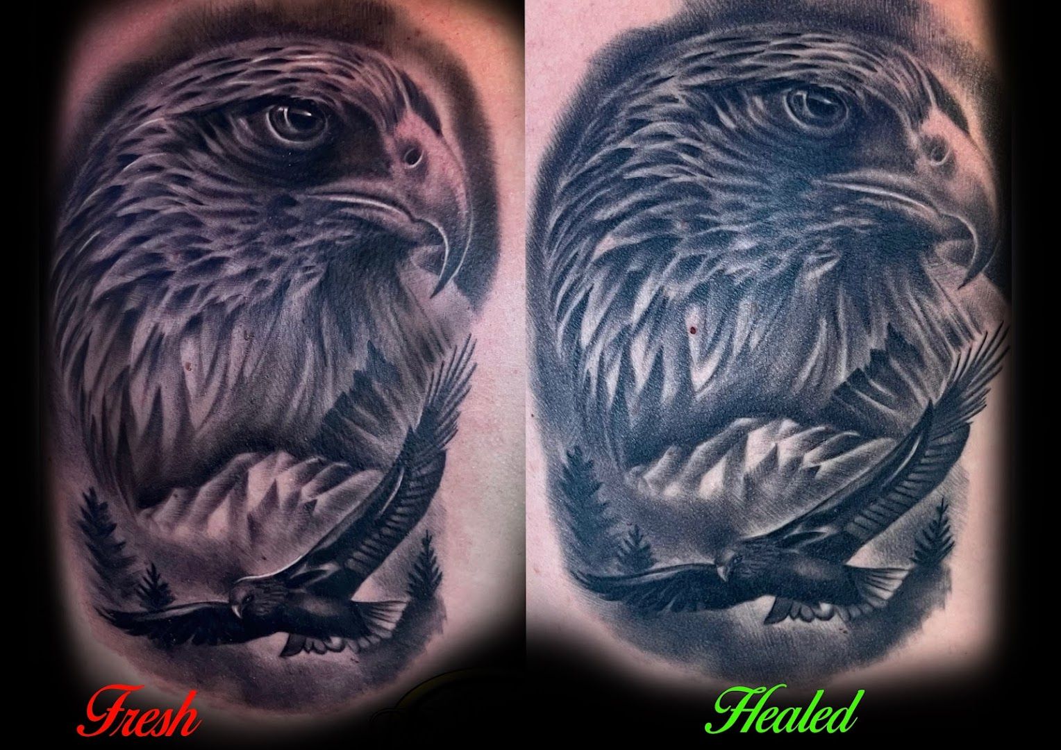 a black and grey cover-up tattoo of an eagle and a bird, augsburg, germany