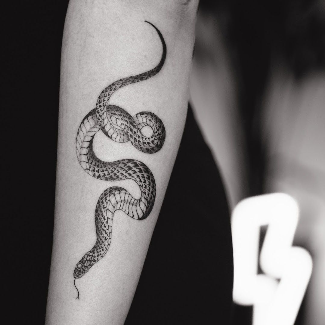 a black and white snake cover-up tattoo on the arm, kassel, germany