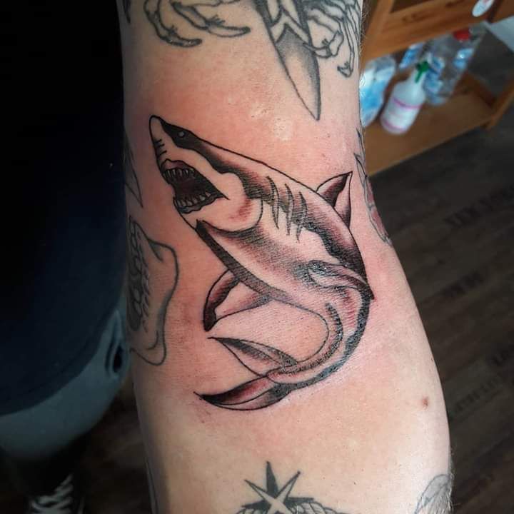 a narben tattoo of a shark and a star, heidekreis, germany