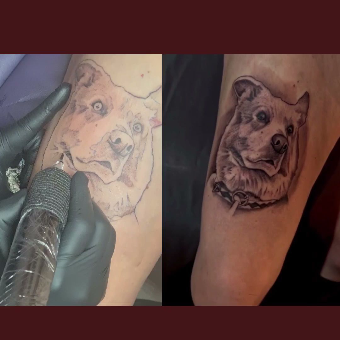 a narben tattoo artist is painting a dog on the arm, marburg-biedenkopf, germany