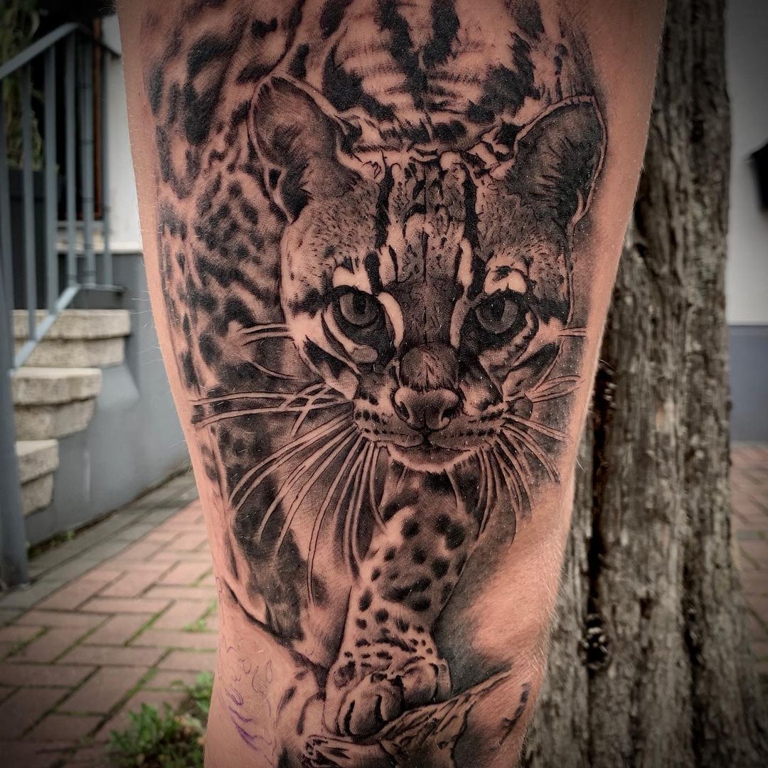 a cover-up tattoo of a leopard and a cat, bochum, germany