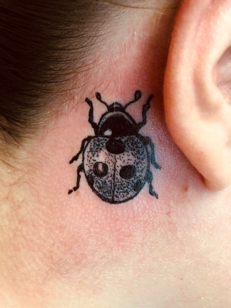 a lady bug cover-up tattoo on the ear, schwerin, germany