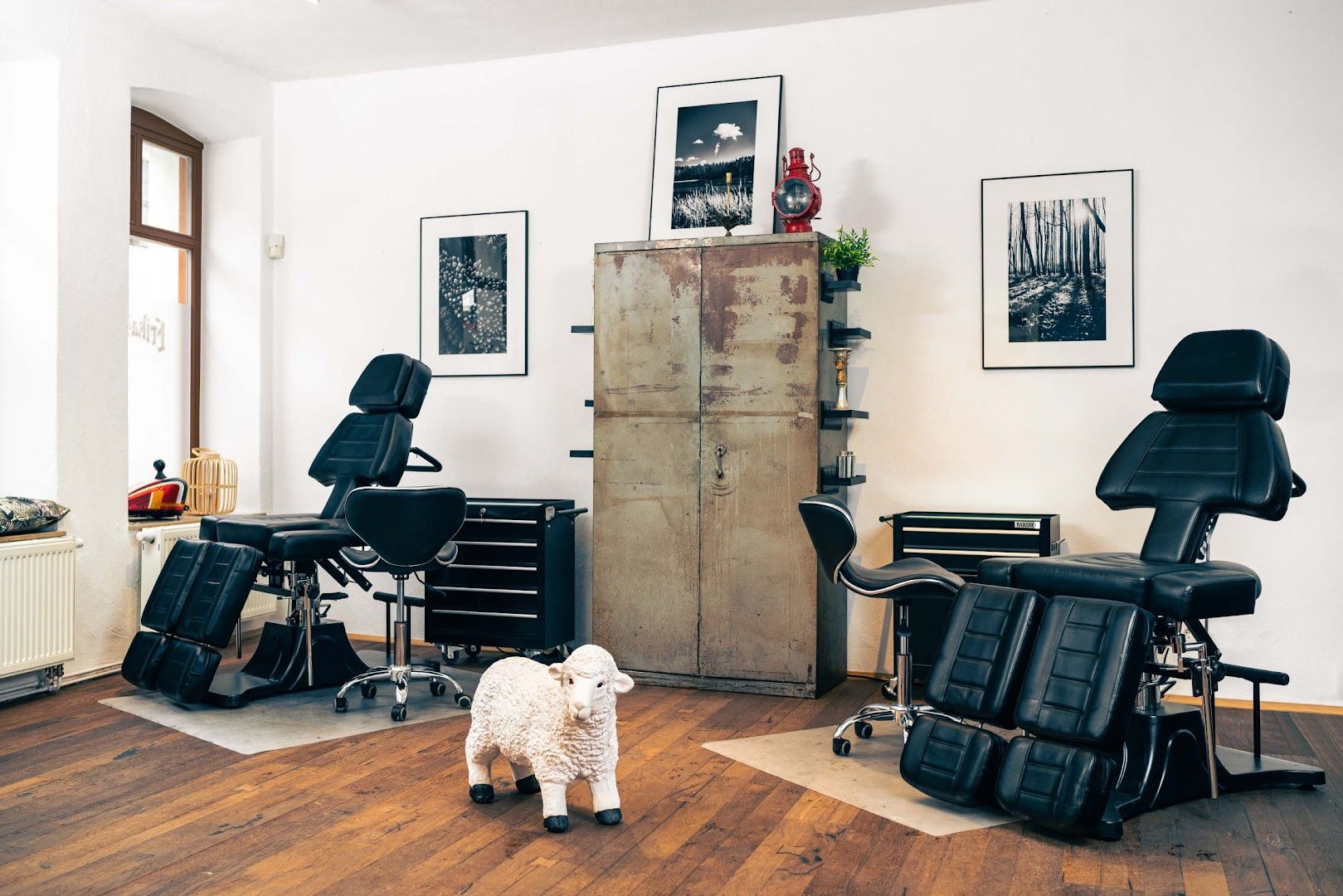 a dog sitting in a salon with chairs