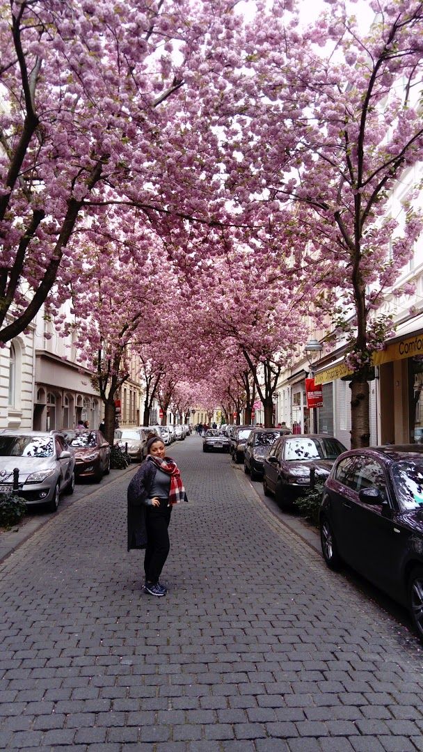 a woman walking down a street with pink flowers on the trees