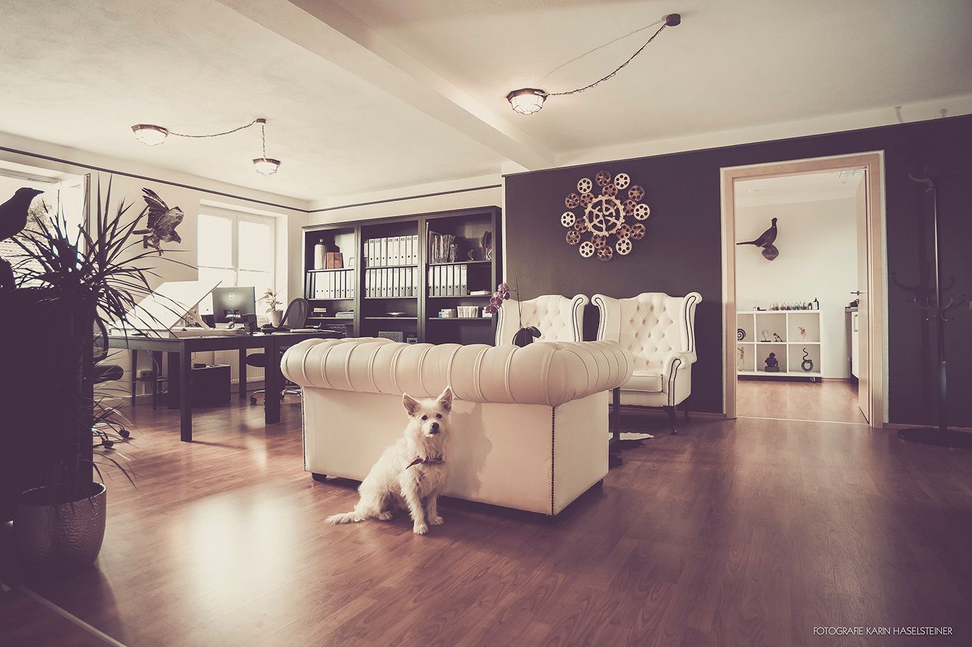 a dog sitting on a couch in a living room