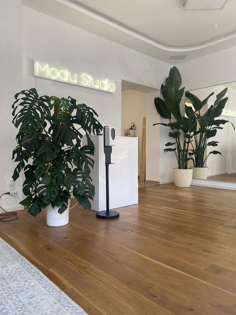 a room with a large plant and a mirror