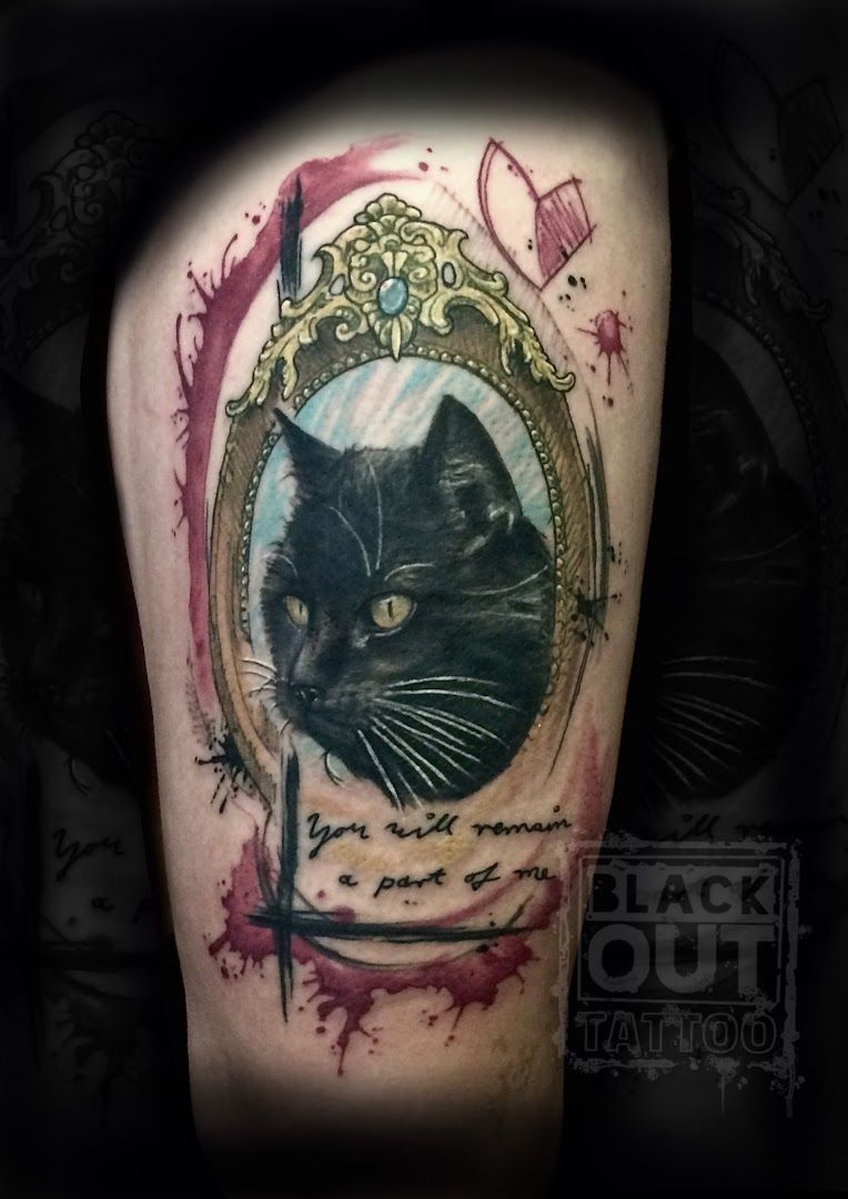 a black cat with a mirror in the background