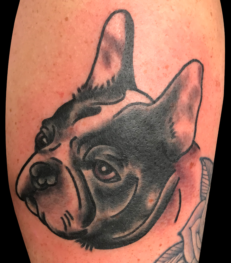 a narben tattoo of a dog with a bow on it's head, dresden, germany