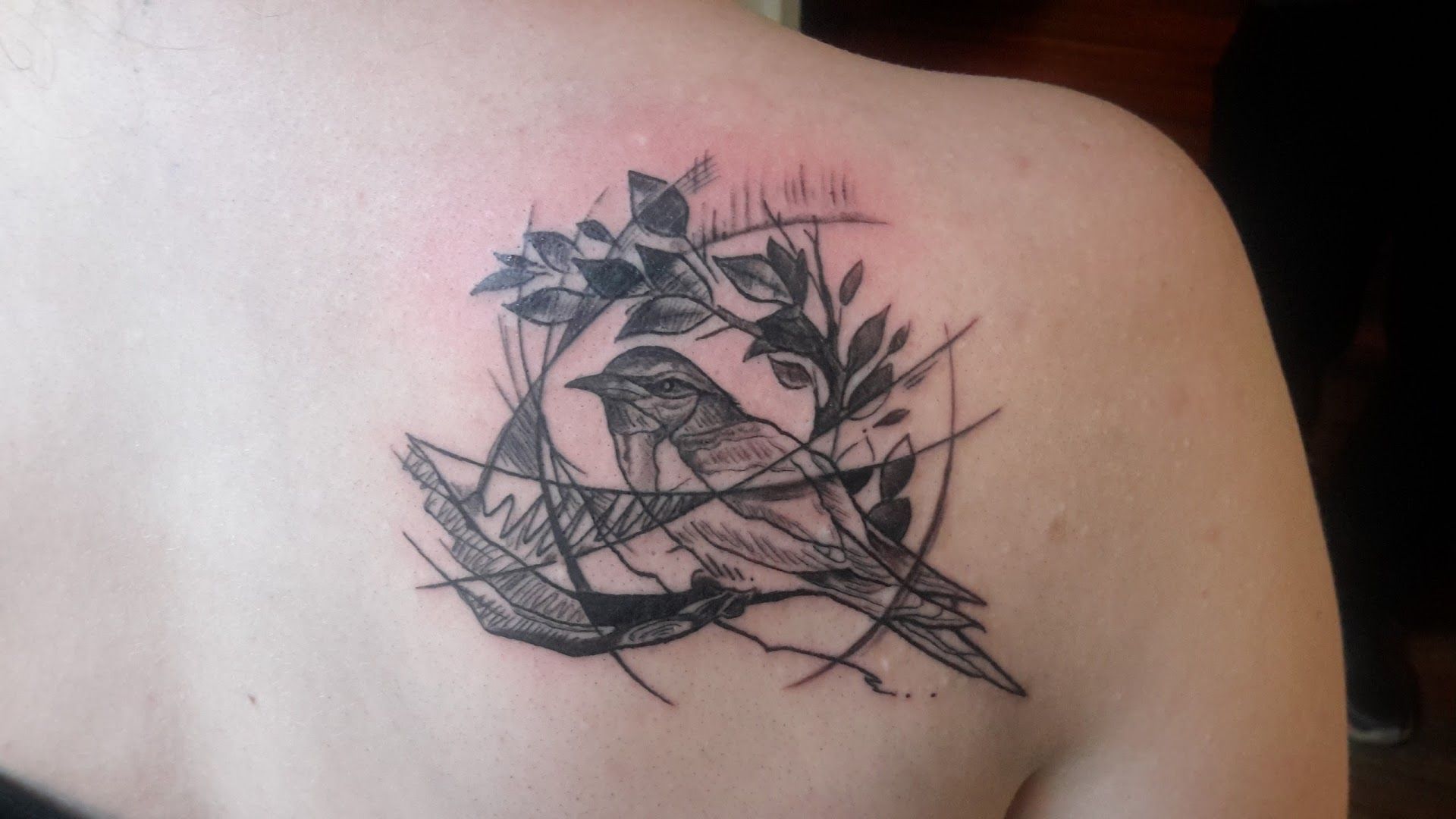 a bird narben tattoo on the back of a woman's shoulder, essen, germany