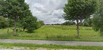 a road with trees and grass in the fore