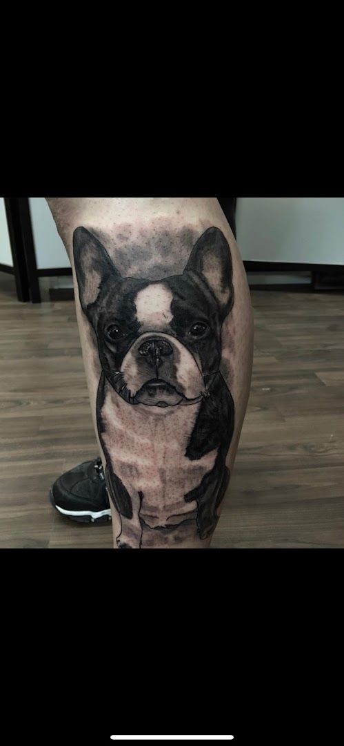 a dog cover-up tattoo on the leg, böblingen, germany