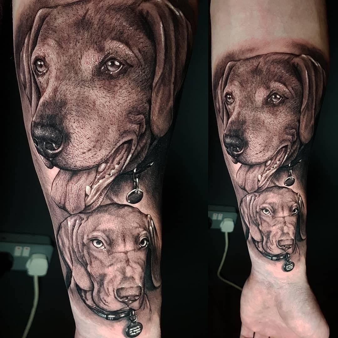 a dog cover-up tattoo on the forearm, kreisfreie stadt freiburg im breisgau, germany