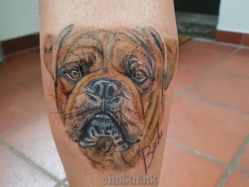 a dog narben tattoo on the leg of a man, vulkaneifel, germany