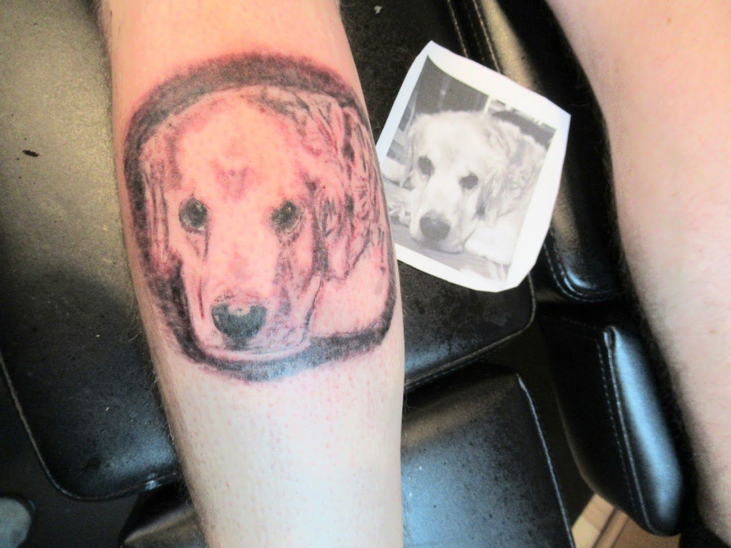 a narben tattoo of a dog on the arm, ammerland, germany