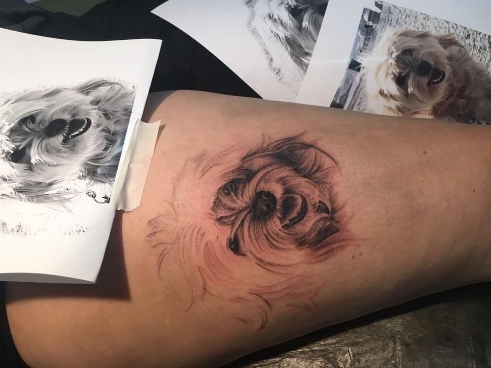 a narben tattoo with a black and white image of a dog, bielefeld, germany