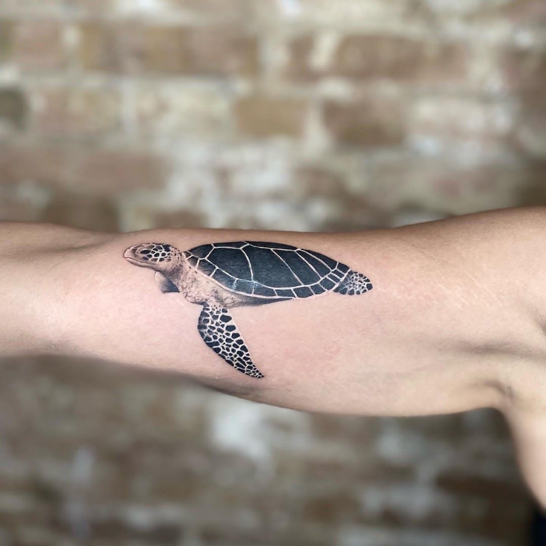 a turtle trashpolka tattoos on the arm, berlin, germany