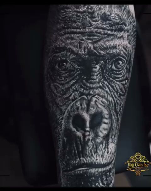 a gorilla portrait tattoos on the leg of a man, wesel, germany