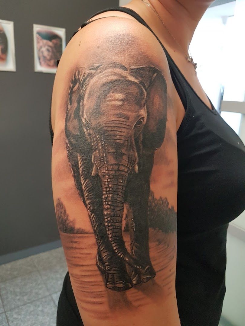 an elephant cover-up tattoo on the arm, odenwaldkreis, germany