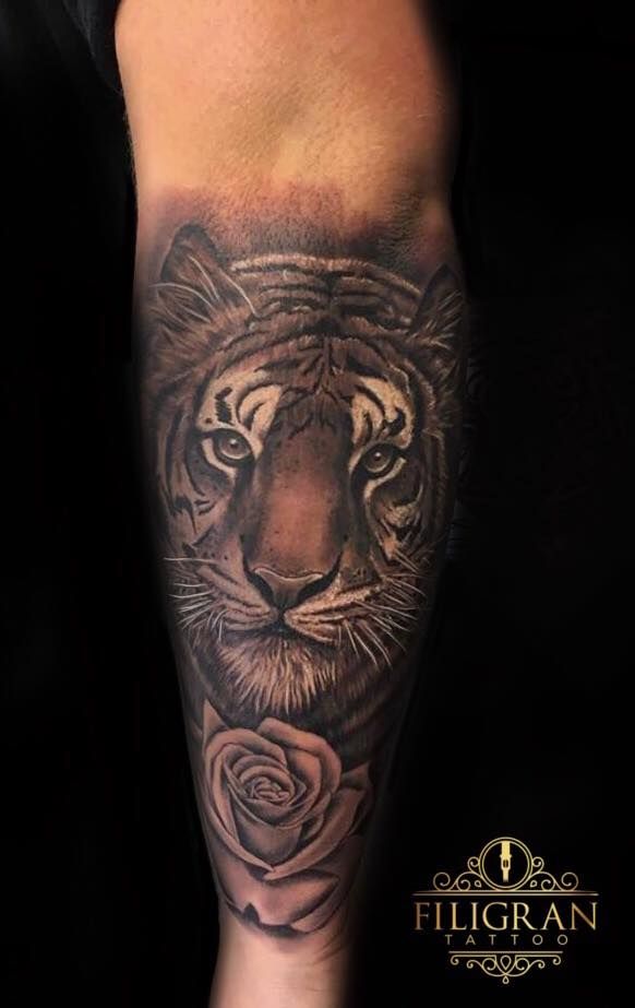 a tiger narben tattoo on the forearm, offenbach, germany