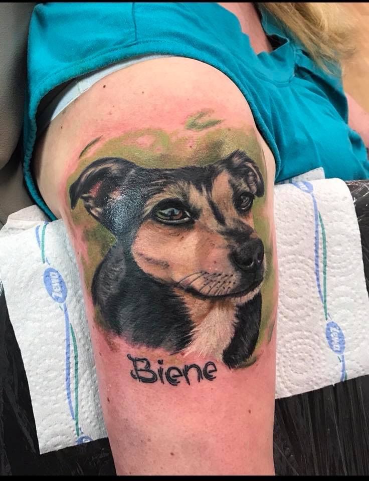 a dog cover-up tattoo on the arm, goslar, germany