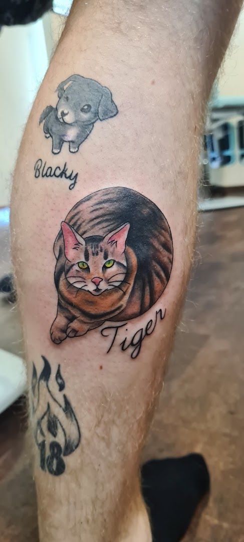 a cat trashpolka tattoos on the leg, heinsberg, germany