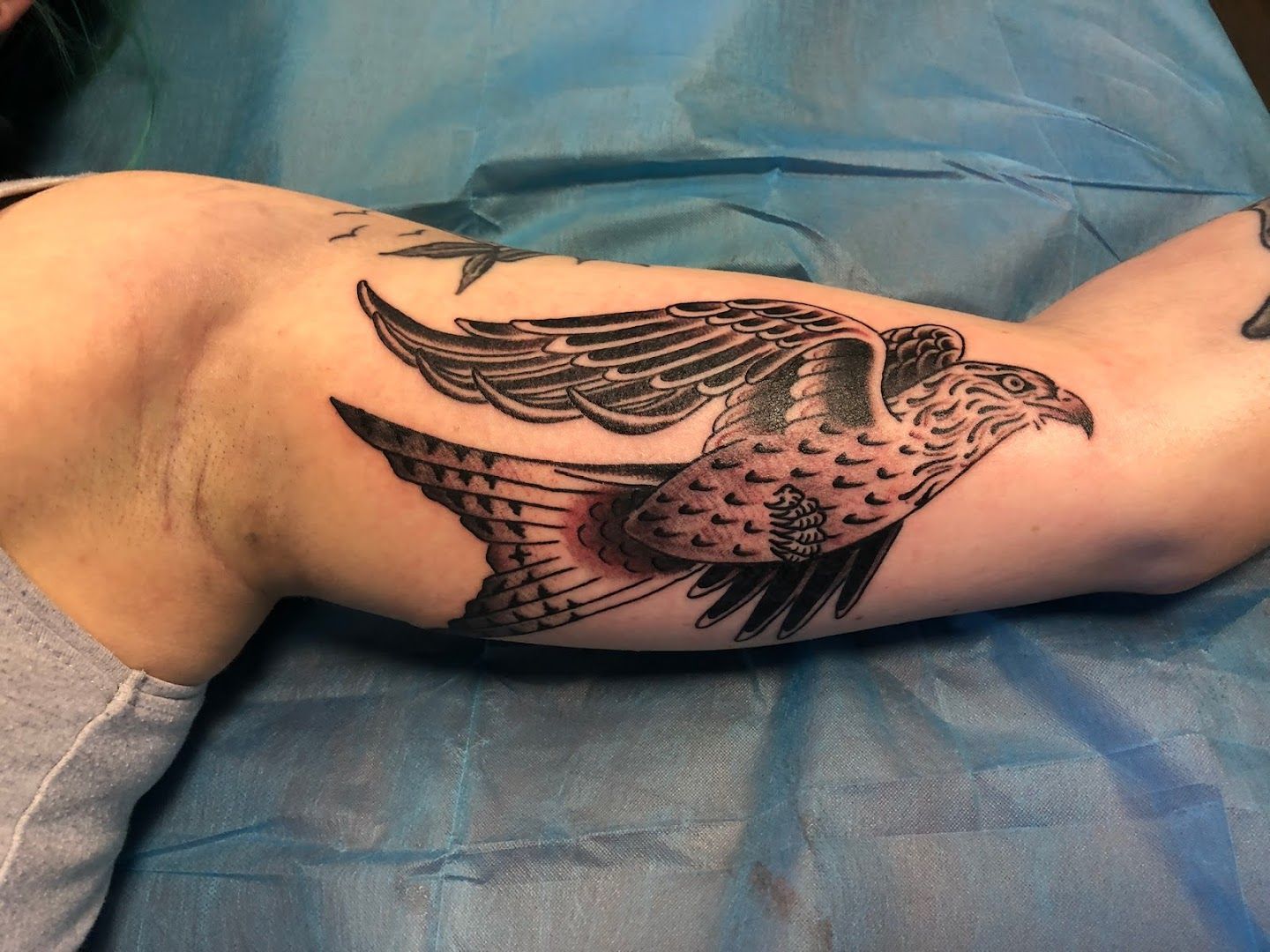 a narben tattoo of a bird on the arm, rhein-neckar-kreis, germany