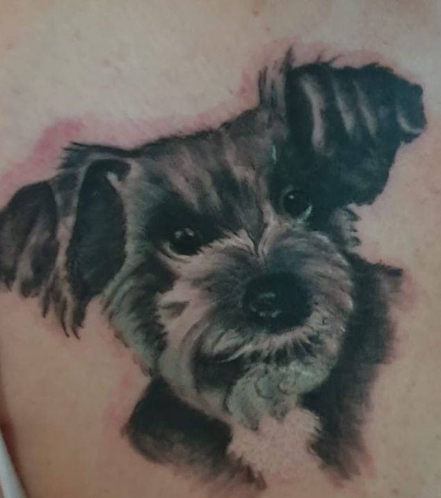 a dog cover-up tattoo on the back of a woman's shoulder, berlin, germany