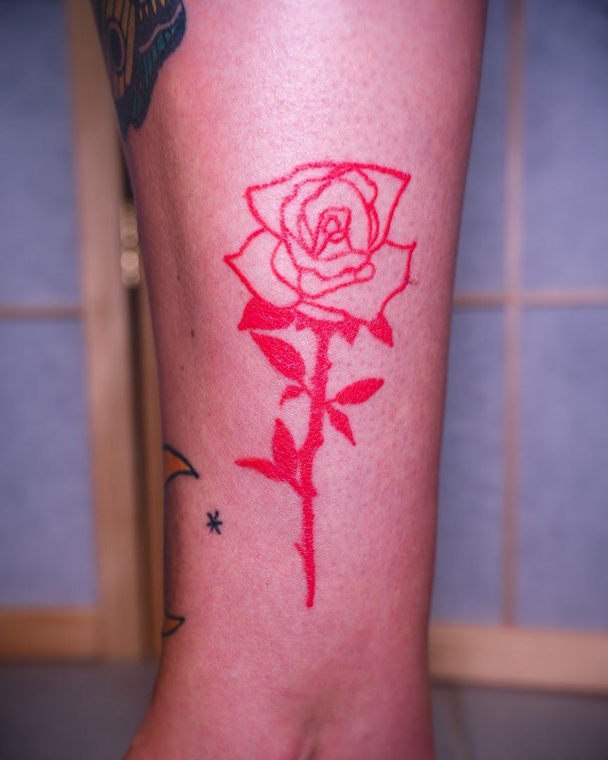 a rose narben tattoo on the leg, altenkirchen, germany